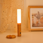 Luminária LED Recarregável com Sensor de Movimento Luz Noturna USB